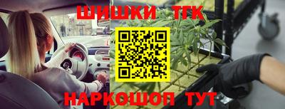 индика Комсомольск-на-Амуре
