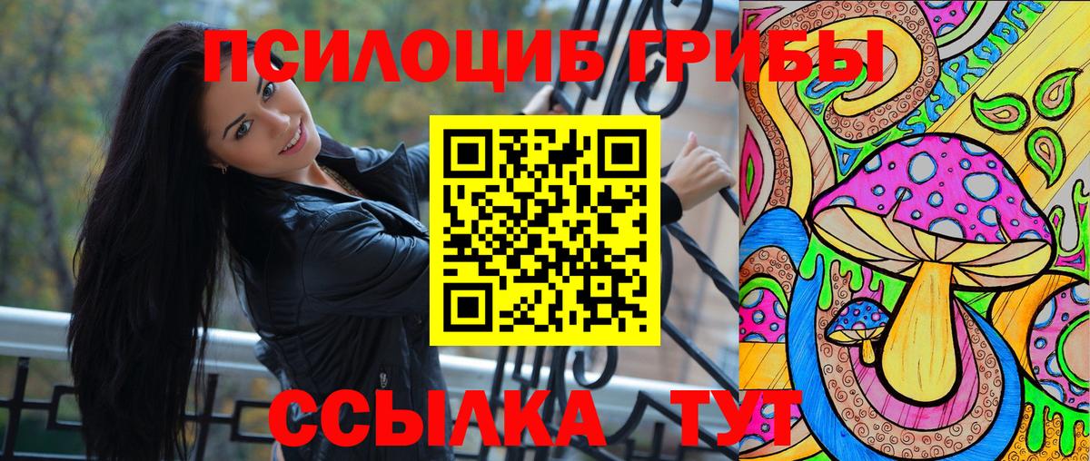 Черногорск  Псилоцибиновые грибы MAGIC MUSHROOMS  купить   Вход с VPN 